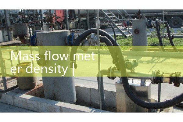 Mass flow meter density